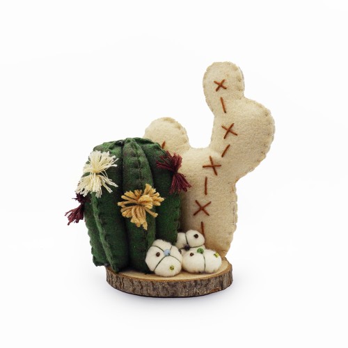 Pianta grassa in feltro